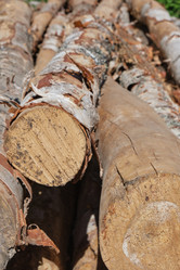 Similar image 21110601