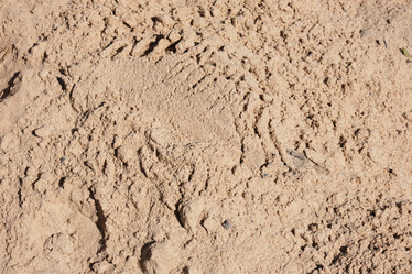 Similar image 21110604