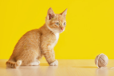 Similar image 21110605