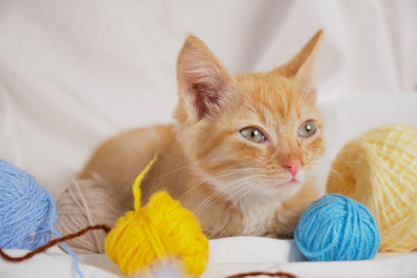 Similar image 21110606