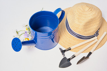 Similar image 21111097