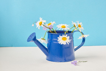 Similar image 21111099