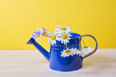 Similar image 21111101