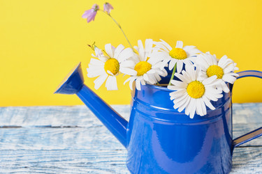 Similar image 21111104