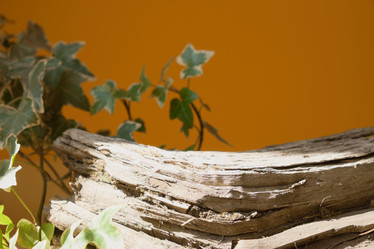 Similar image 21111105