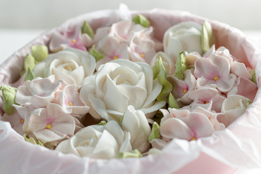 Similar image 21081132