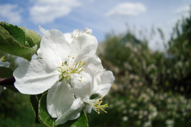 Similar image 21113967