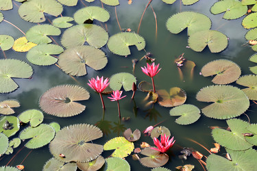 Similar image 21080813