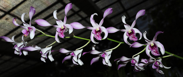 Similar image 21080814