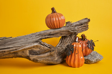 Similar image 21112143