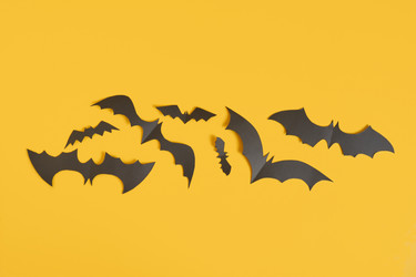 Similar image 21112150