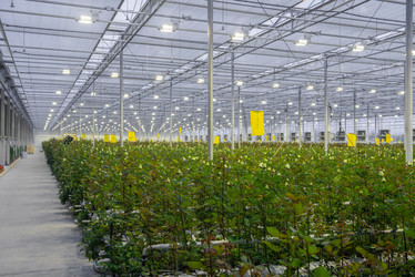 Similar image 21119598