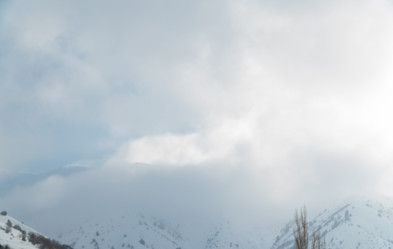 Similar image 21119602