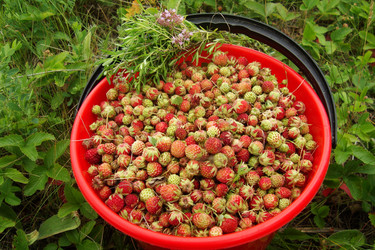 Similar image 21104531