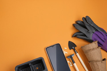 Similar image 21110181