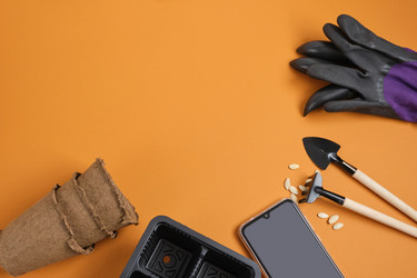 Similar image 21110191