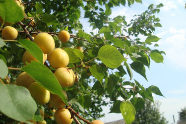 Similar image 21081394