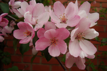 Similar image 21081034