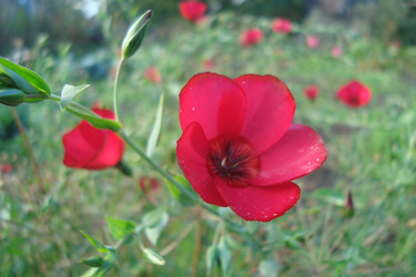 Similar image 21081395