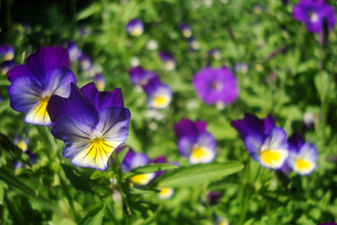 Similar image 21081396