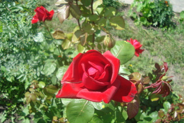 Similar image 21113748