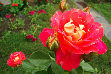 Similar image 21081035