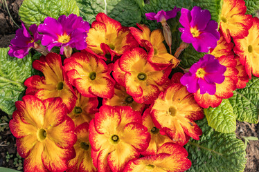 Similar image 21128850