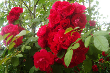 Similar image 21081428