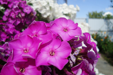 Similar image 21081037