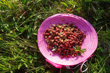 Similar image 21081397