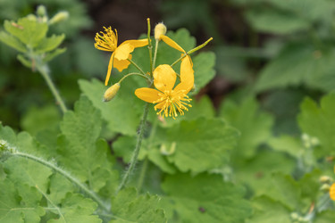 Similar image 21128851