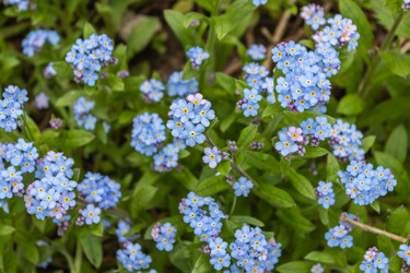 Similar image 21128852