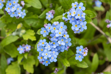 Similar image 21128853