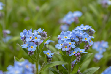 Similar image 21128855