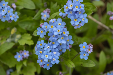 Similar image 21128856