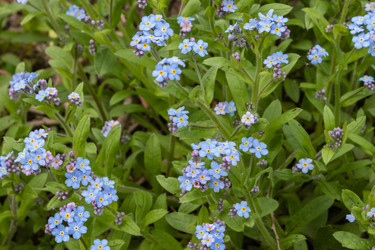 Similar image 21128857