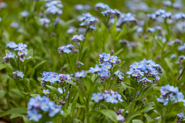 Similar image 21128858