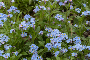 Similar image 21128859