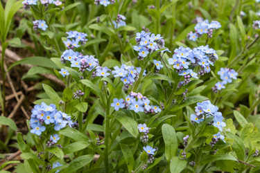 Similar image 21128860