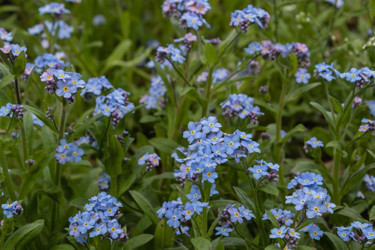 Similar image 21128861