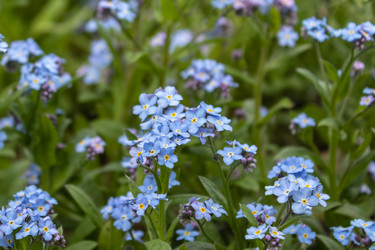 Similar image 21128862