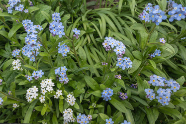 Similar image 21128863