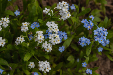 Similar image 21128864