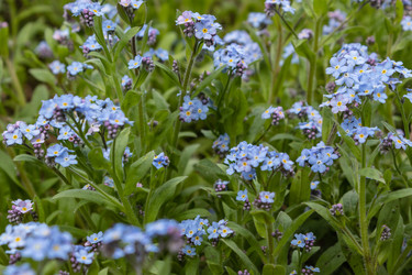 Similar image 21128865