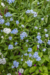 Similar image 21128866