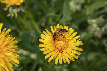 Similar image 21128867