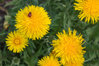 Similar image 21128868