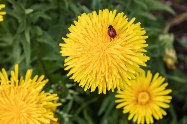 Similar image 21128869