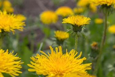 Similar image 21128870