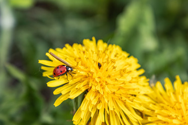 Similar image 21128871